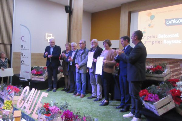 CAUE Village Fleuri Groupe